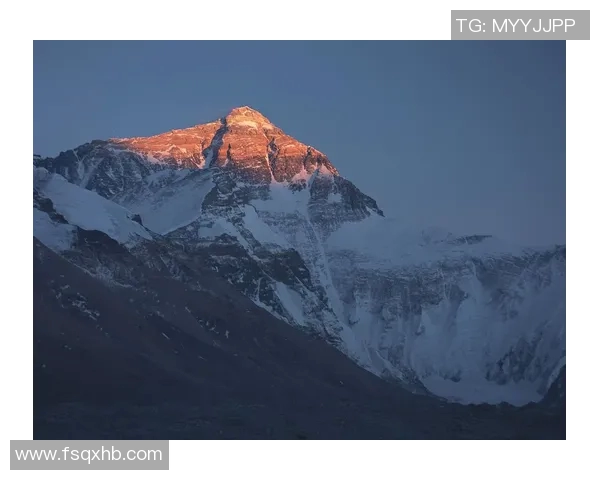 全球最具影响力的十位体育明星排行榜揭晓谁将登顶荣耀之巅