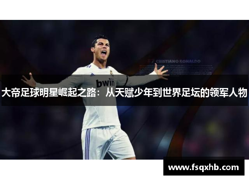 大帝足球明星崛起之路：从天赋少年到世界足坛的领军人物