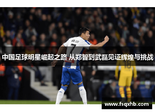 中国足球明星崛起之路 从郑智到武磊见证辉煌与挑战