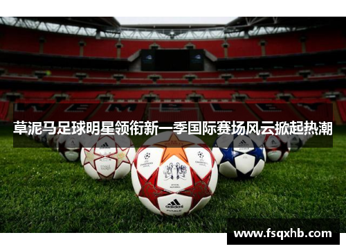 草泥马足球明星领衔新一季国际赛场风云掀起热潮