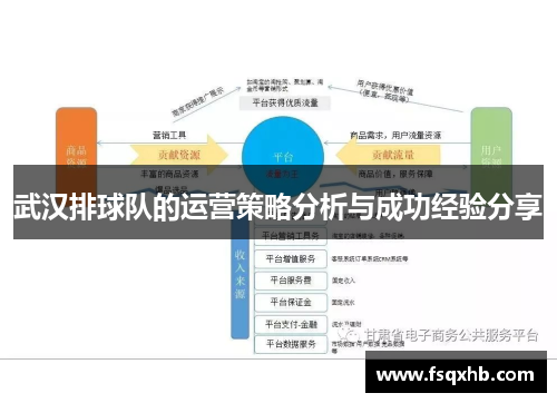 武汉排球队的运营策略分析与成功经验分享