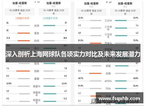深入剖析上海网球队各项实力对比及未来发展潜力