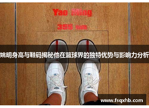 姚明身高与鞋码揭秘他在篮球界的独特优势与影响力分析
